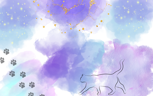 足跡, 猫, パソコン壁紙, 壁紙